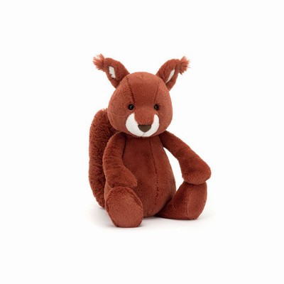 Jellycat Bashful Squirrel USA | 46327QDFV